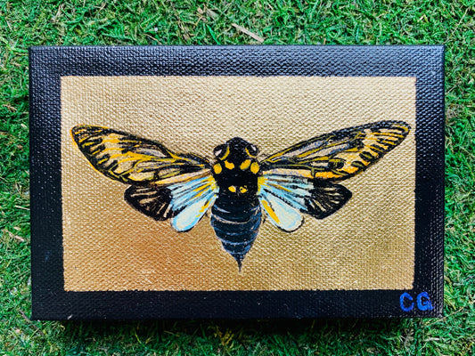 Gilded Painting- Blue Cicada on gold 4x6 canvas