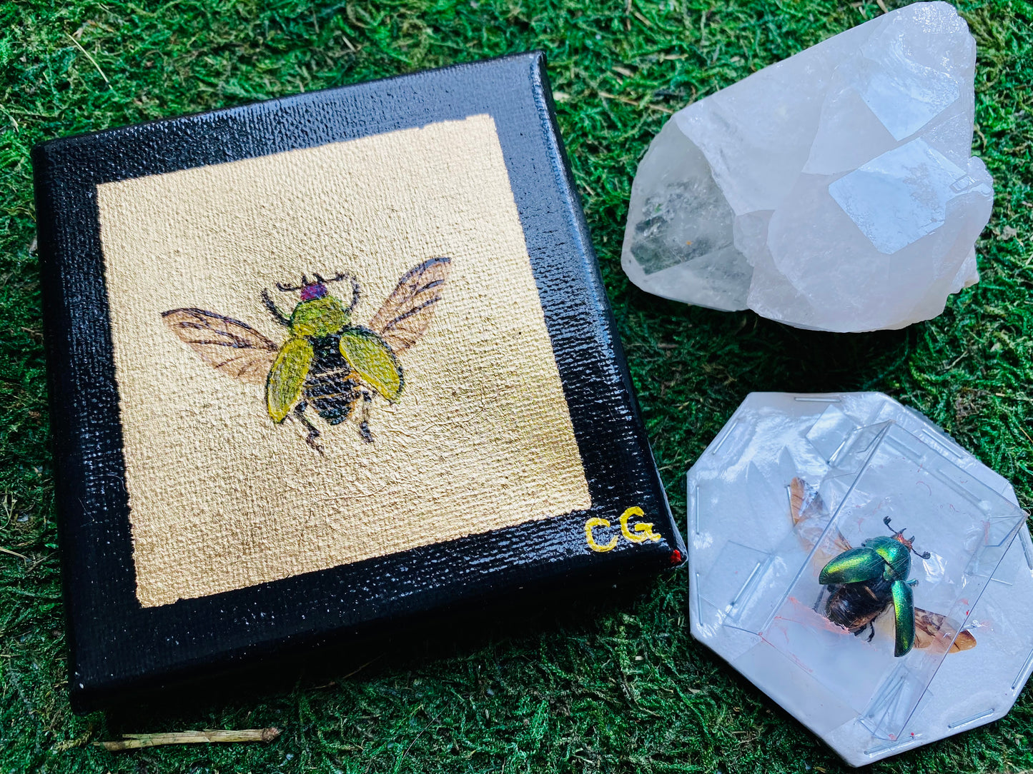 Gilded Painting- Female Lamprima Adolphine Staghorn Beetle on gold 4x4 canvas