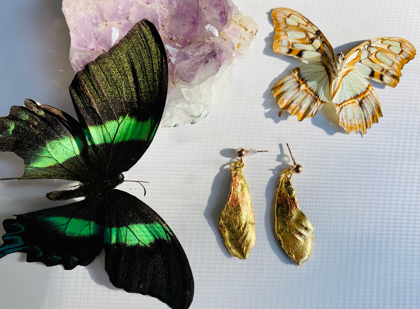 Real Gilded Butterfly Wing Earrings- Set B