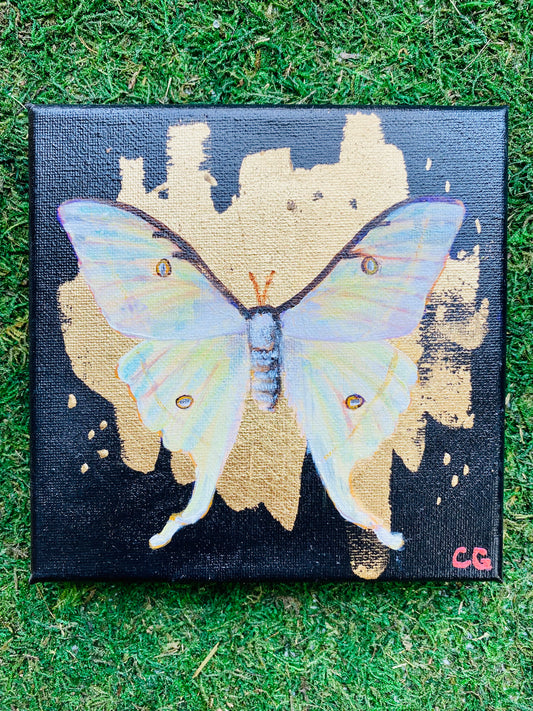 Gilded Painting- Luna Moth on Abstract Gold 6x6 canvas