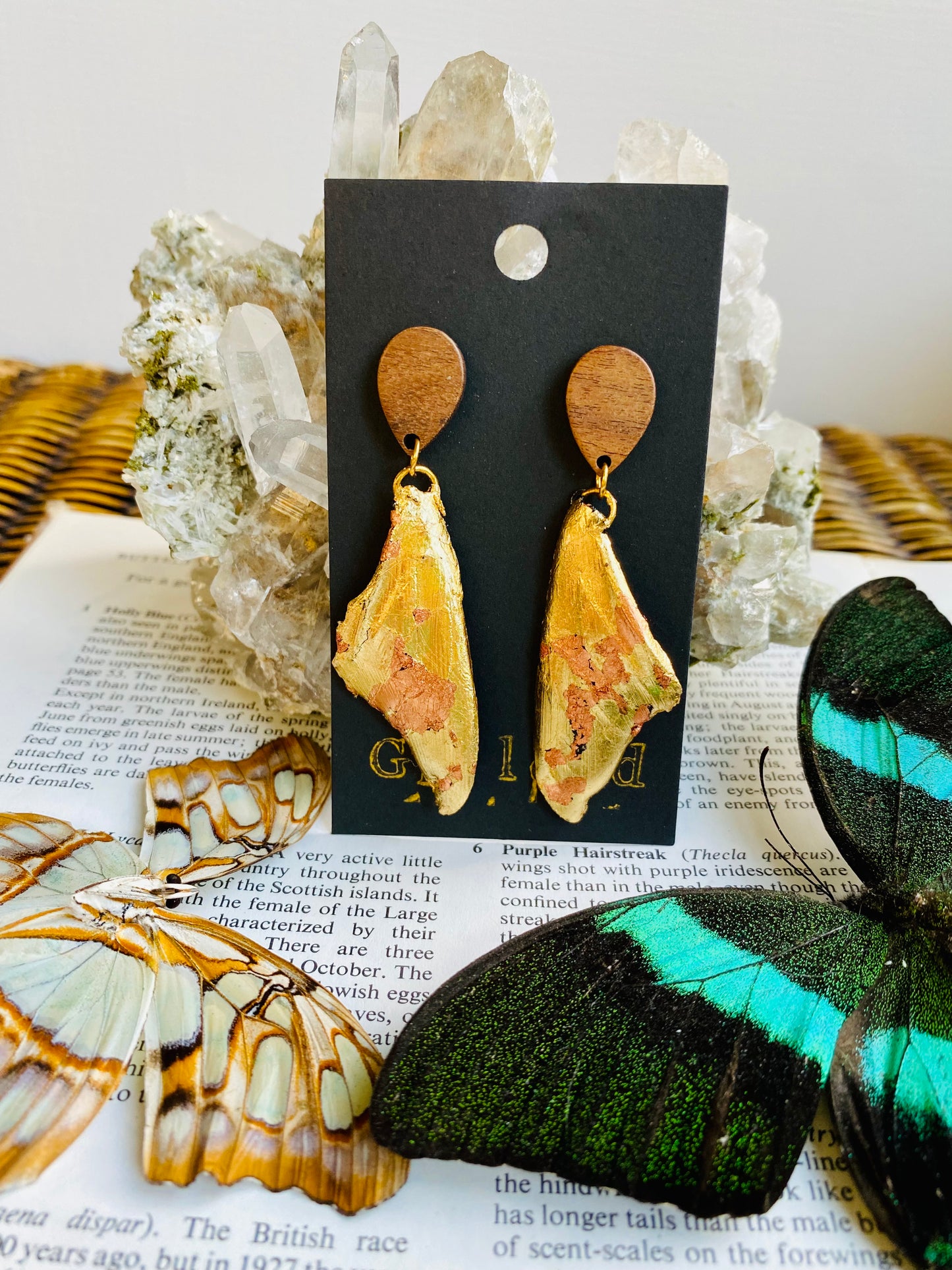 Real Gilded Butterfly Wing Earrings- Set C