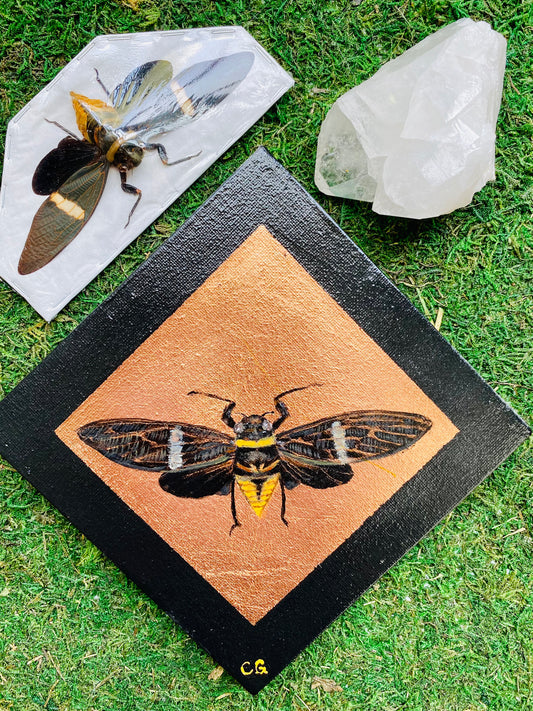 Gilded Painting- Tosena Albania Cicada on Copper 6x6 canvas