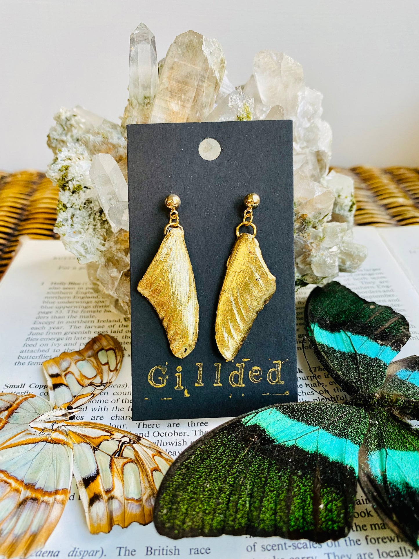 Real Gilded Butterfly Wing Earrings- Set A