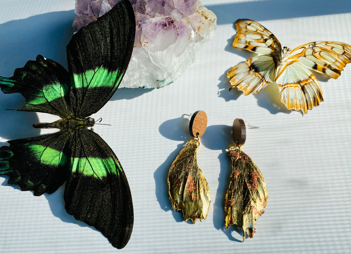 Real Gilded Butterfly Wing Earrings- Set D