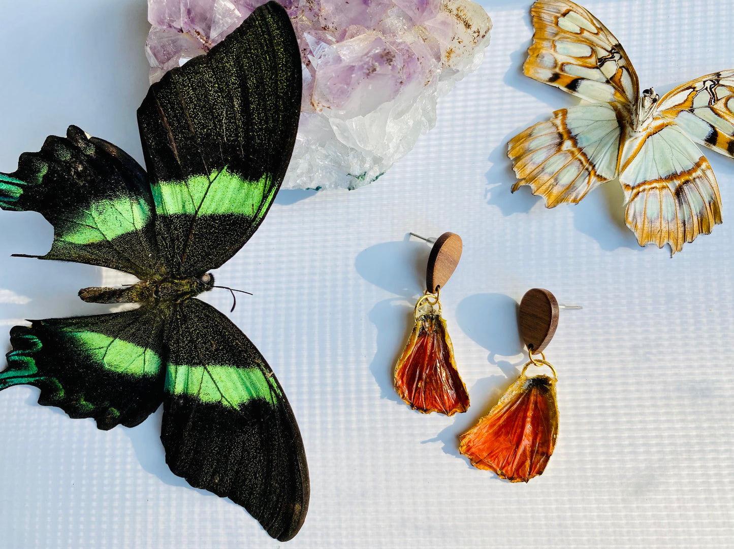 Real Gilded Butterfly Wing Earrings- Set K