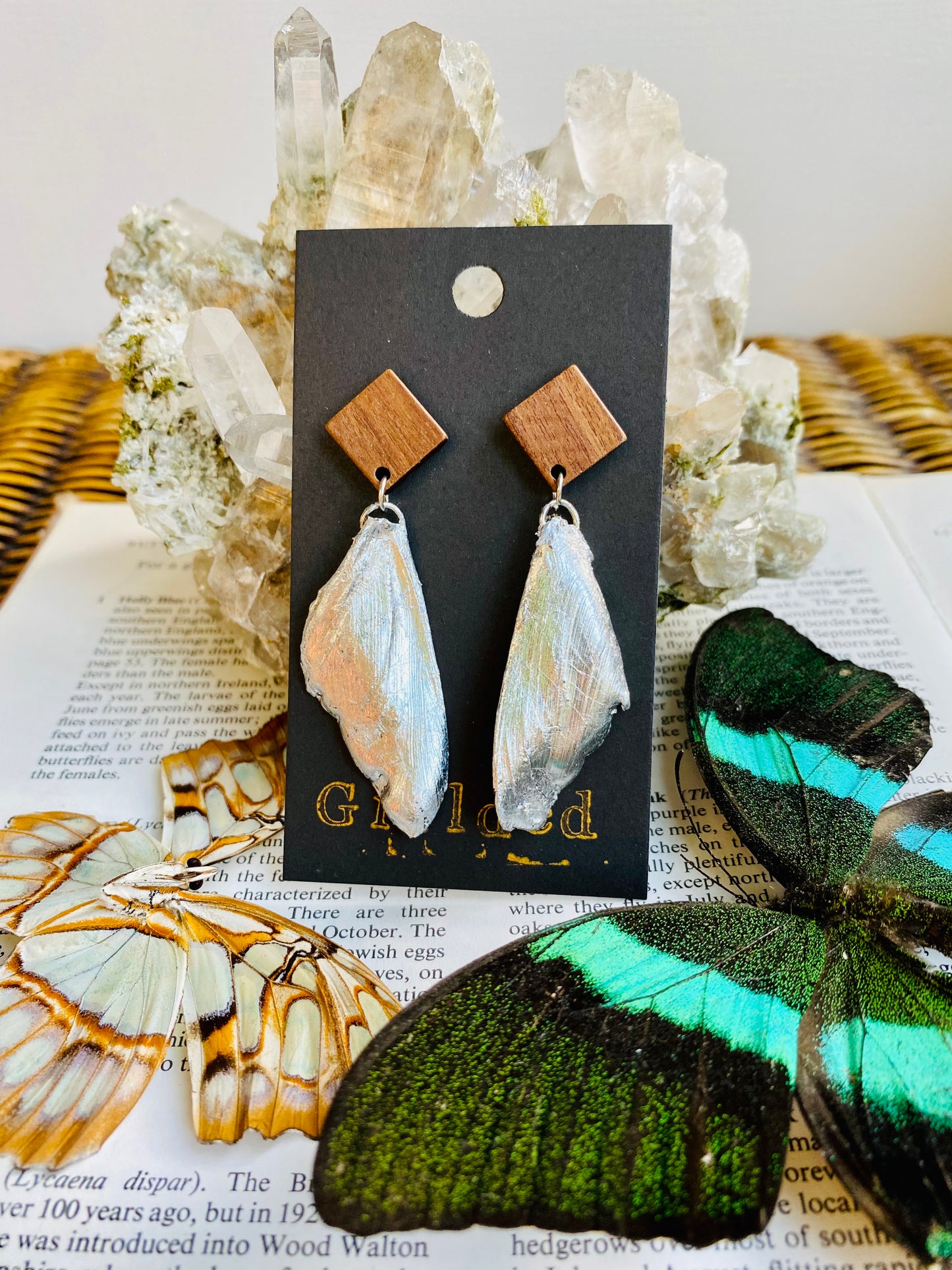 Real Gilded Butterfly Wing Earrings- Set F