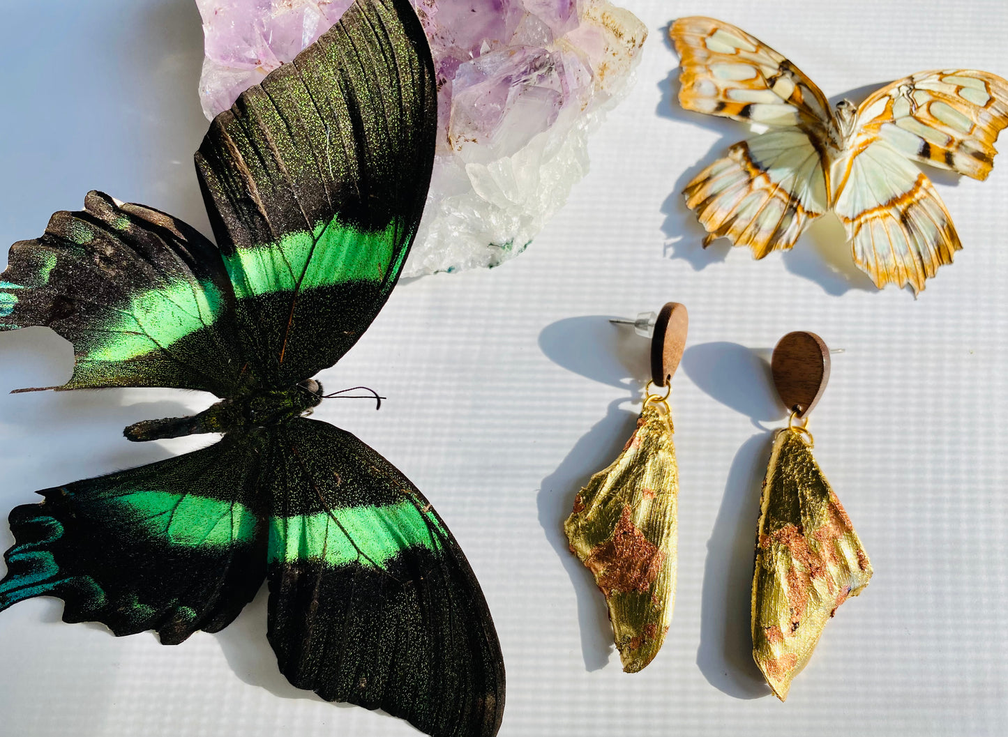 Real Gilded Butterfly Wing Earrings- Set C