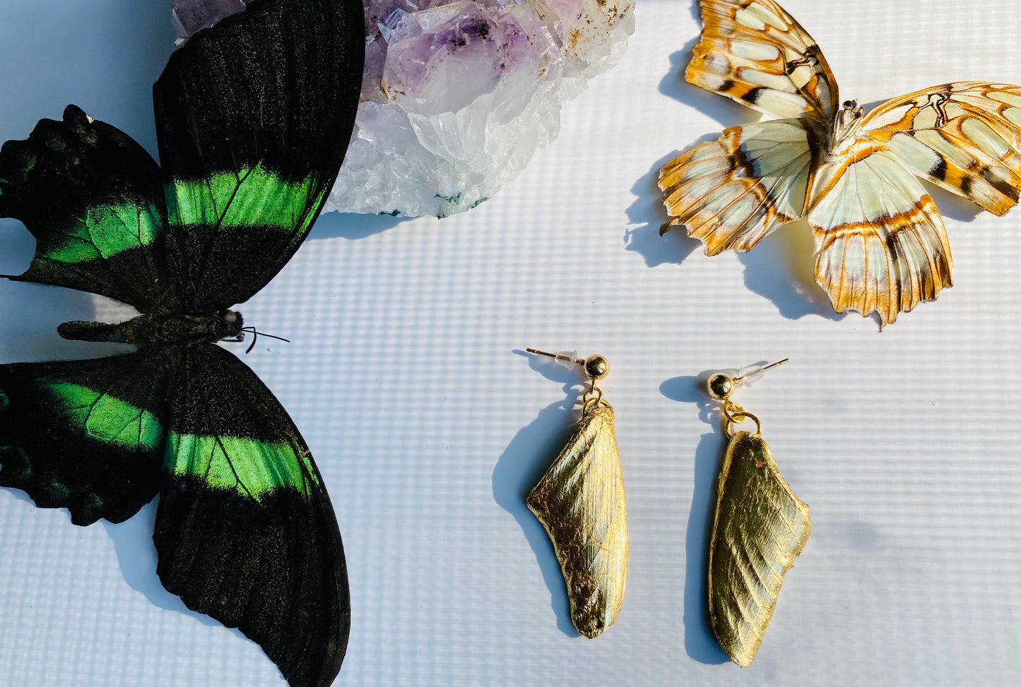 Real Gilded Butterfly Wing Earrings- Set A