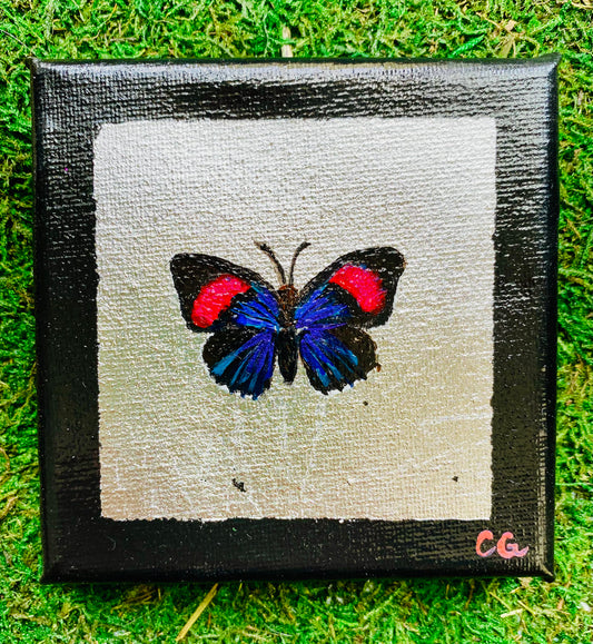 Gilded Painting- Cramer’s Eighty Eight Dianthria Clemena Butterfly on Silver 4x4 canvas