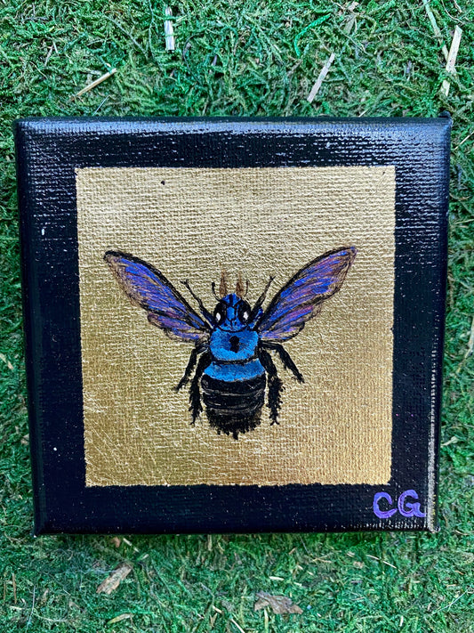 Gilded Painting- Blue Carpenter Bee on Gold 4x4 Canvas