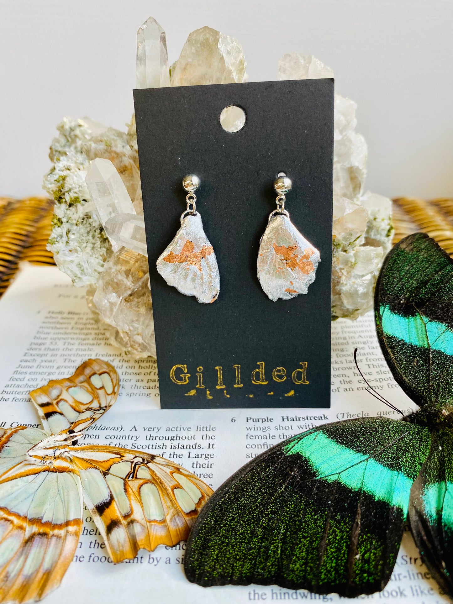 Real Gilded Butterfly Wing Earrings- Set H