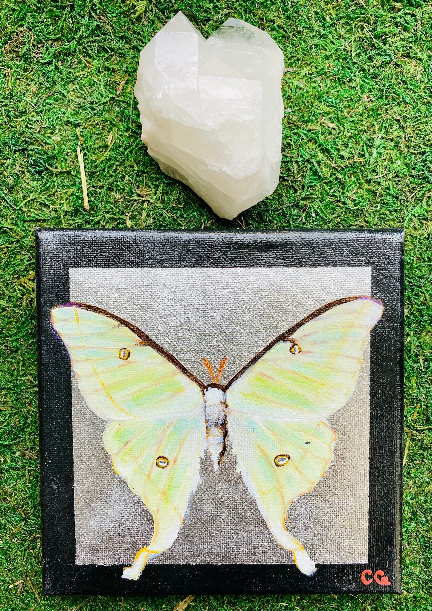 Gilded Painting- Luna Moth on Abstract Gold 6x6 canvas – Gillded