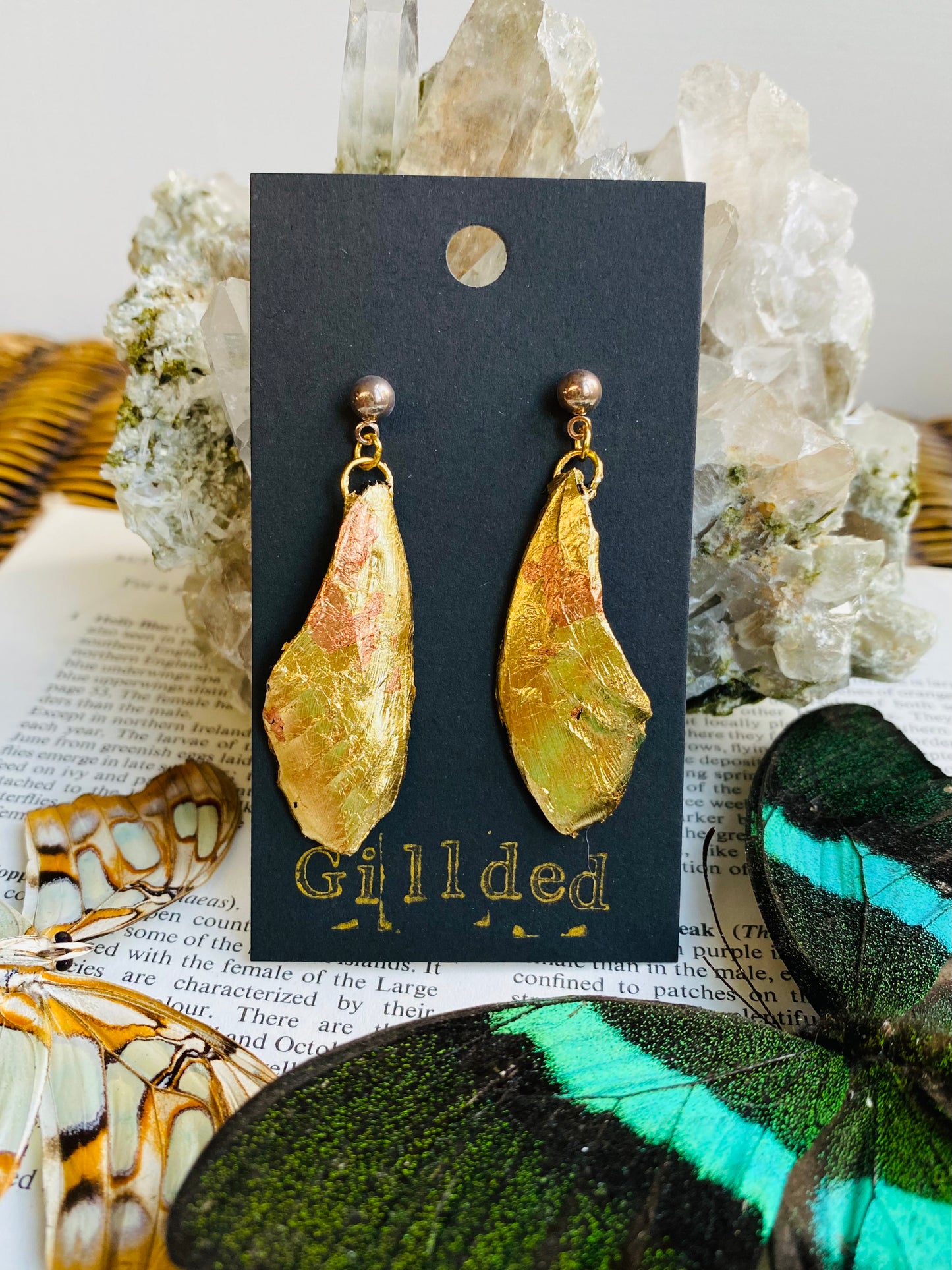 Real Gilded Butterfly Wing Earrings- Set B