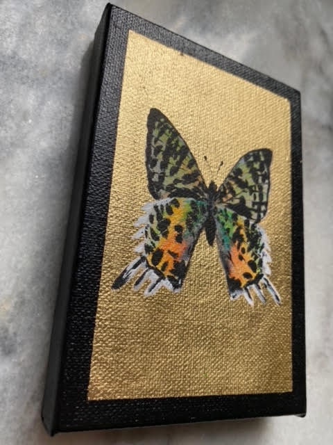 Urania Pypheus Madagascan Sunset Moth Painting on Composition Gold Leaf Interactive Acrylic